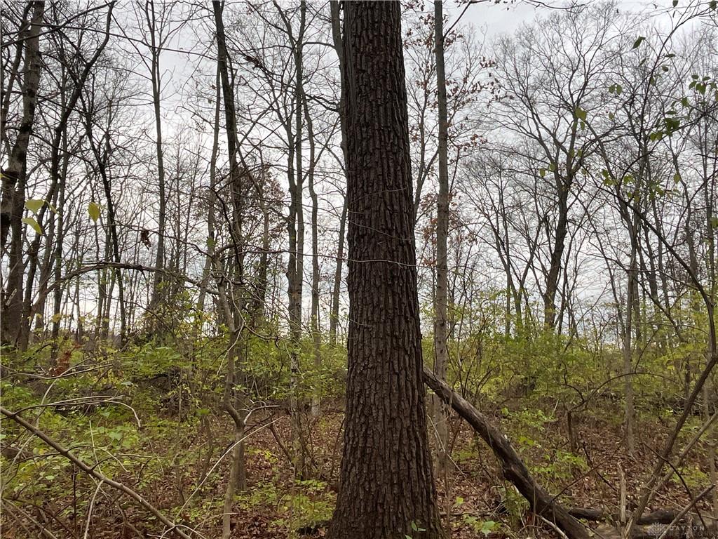 0 Dog Leg Property Photo 38