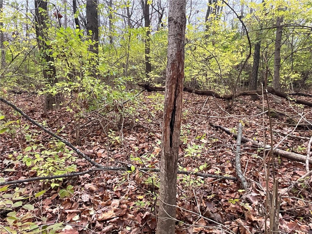 0 Dog Leg Property Photo 39