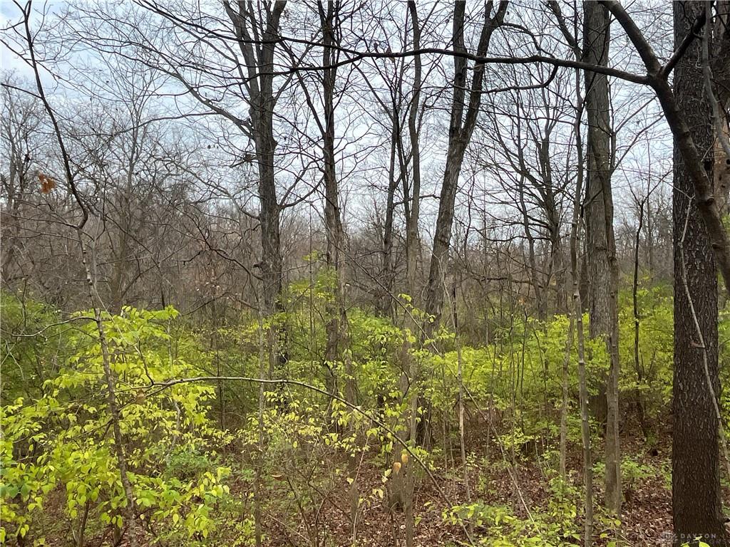 0 Dog Leg Property Photo 40