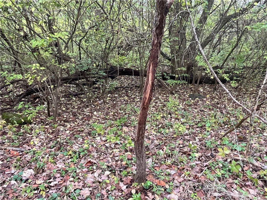 0 Dog Leg Property Photo 41