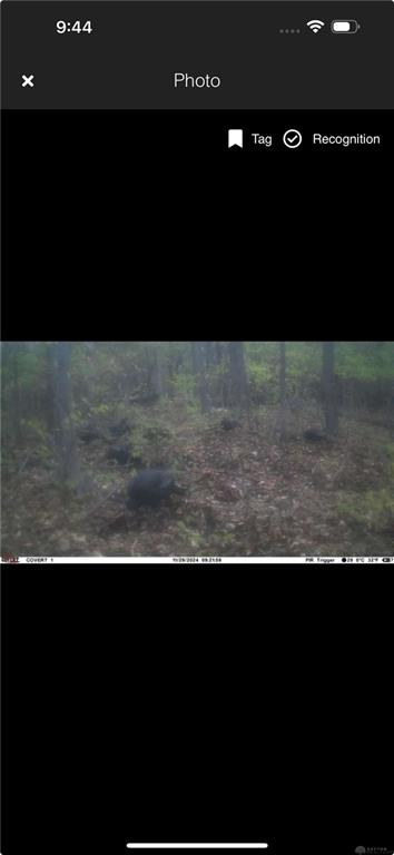 0 Dog Leg Property Photo 42