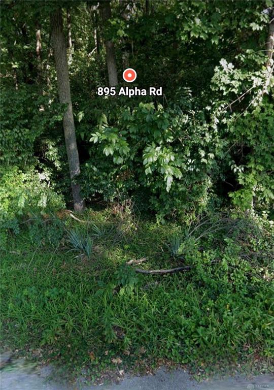 895 Alpha Property Photo 3