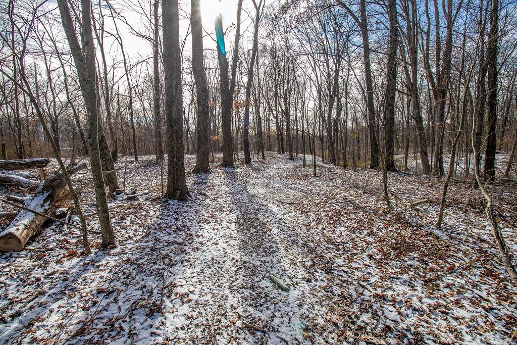 8559 Maineville Road Property Photo 11