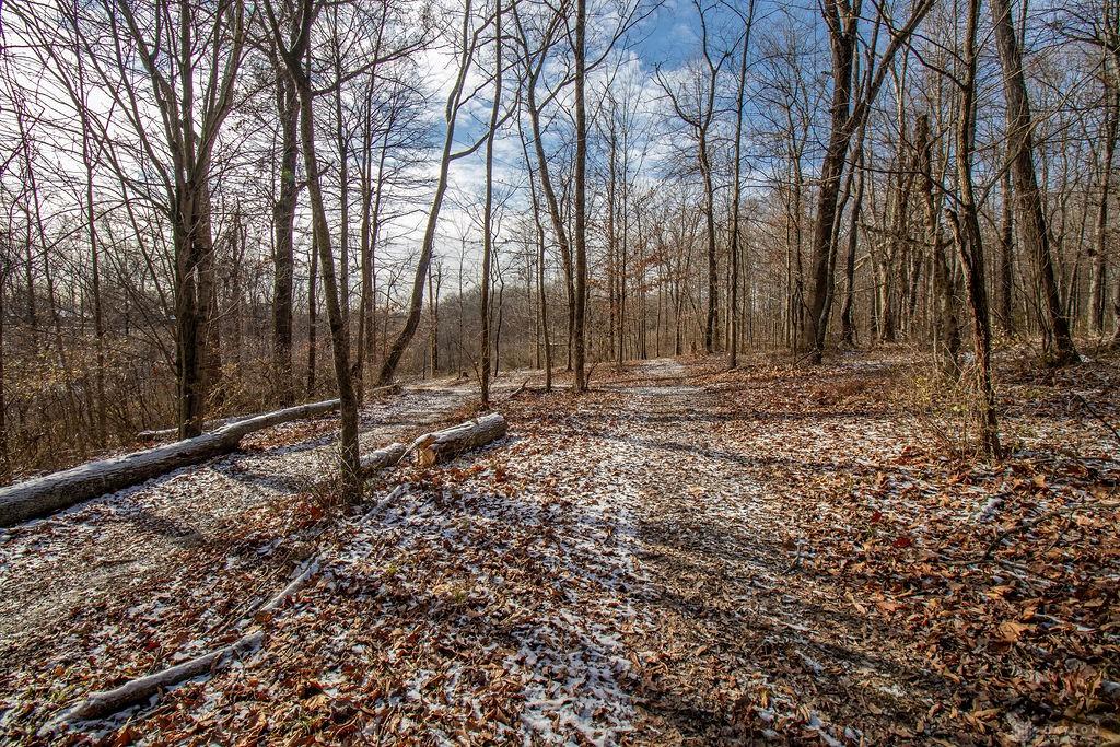 8559 Maineville Road Property Photo 12