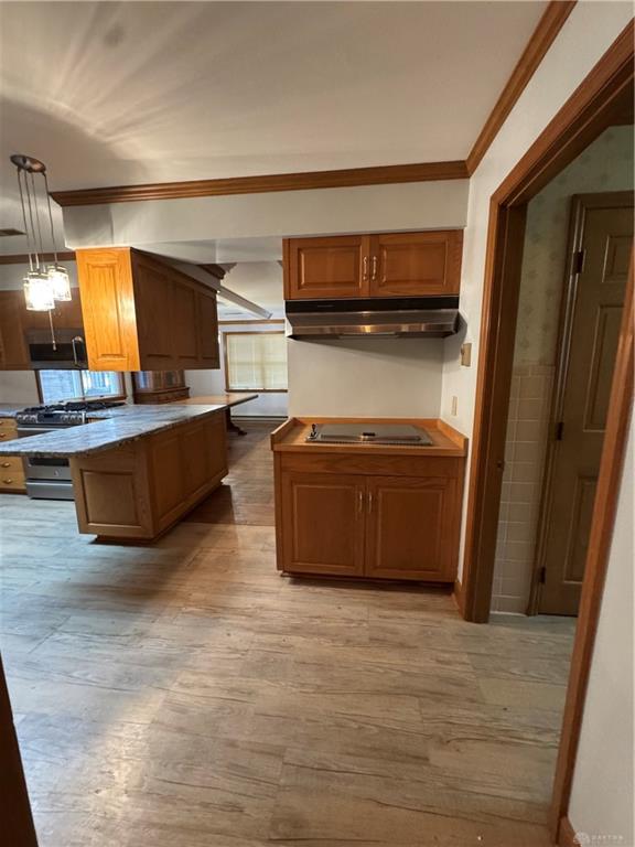 1070 Dubois Road Property Photo 19