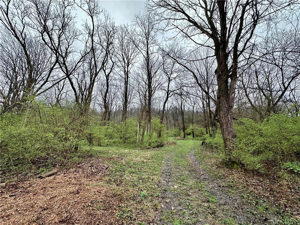 2084 Corwin Road Property Photo