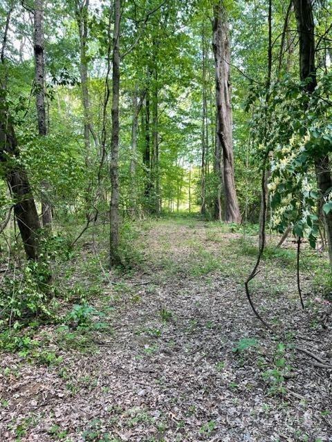 3526 Starling Road Property Photo 3