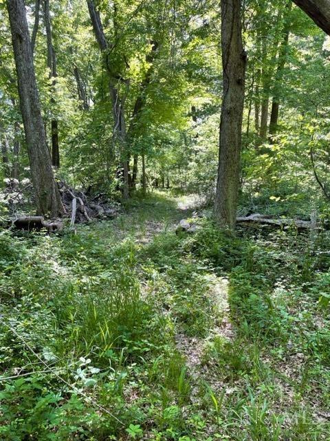 3526 Starling Road Property Photo 6