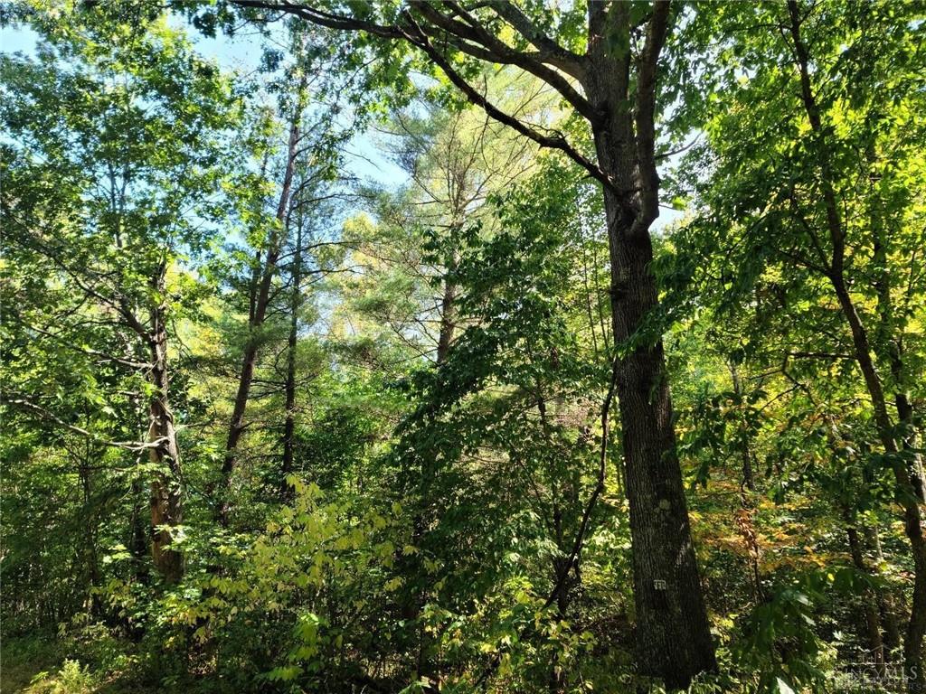 0 Apple Grove Dorcas Road Property Photo 1