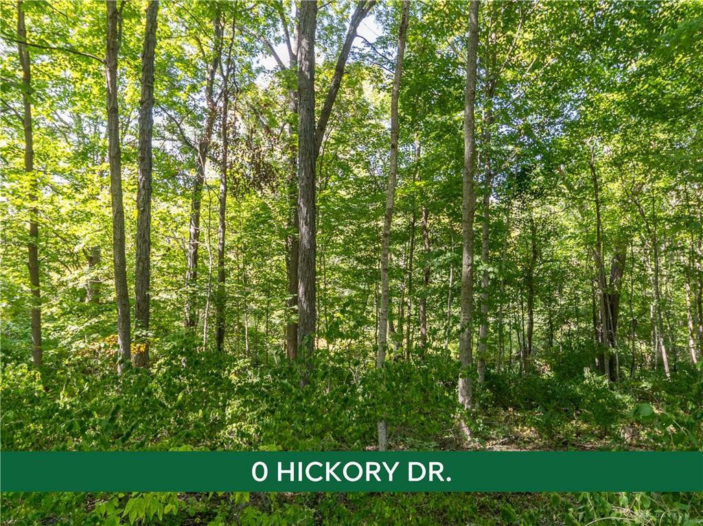 0 Hickory