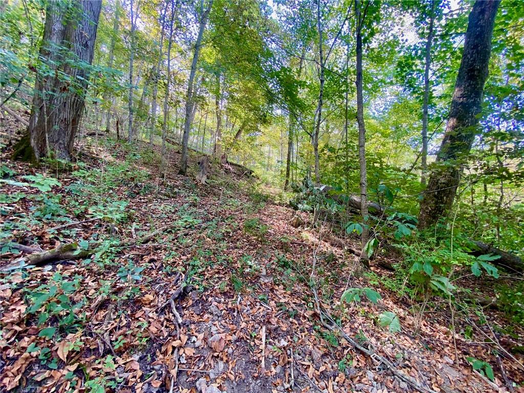 6.15 Ac Eagle Creek Property Photo 4