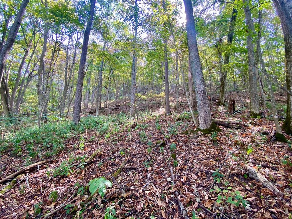 6.15 Ac Eagle Creek Property Photo 6