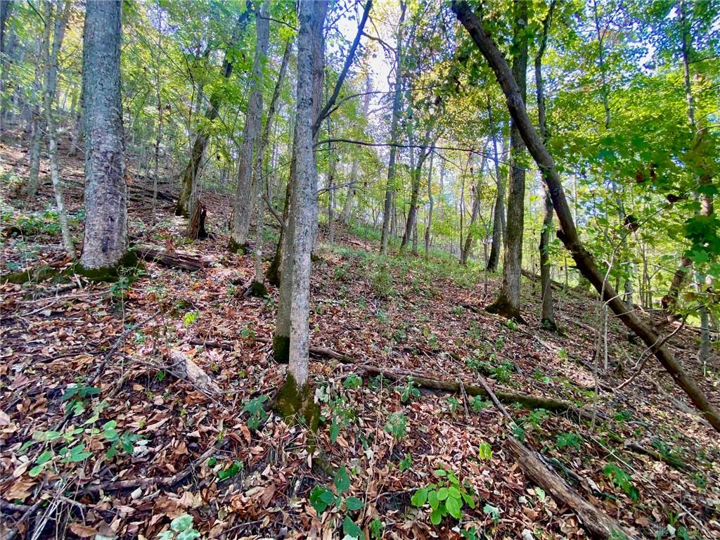 6.15 Ac Eagle Creek Property Photo 7