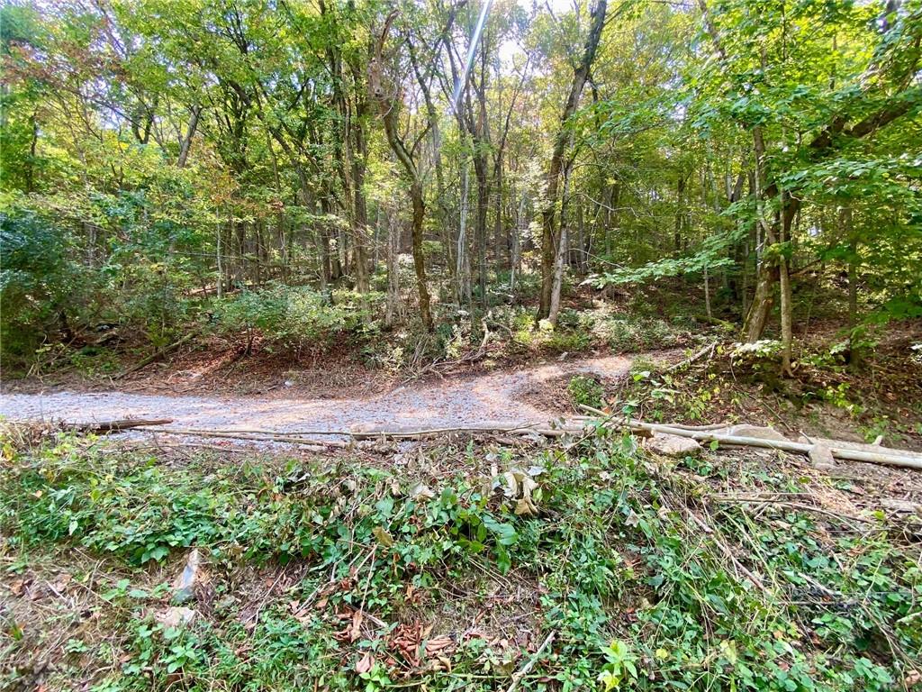 6.15 Ac Eagle Creek Property Photo 9