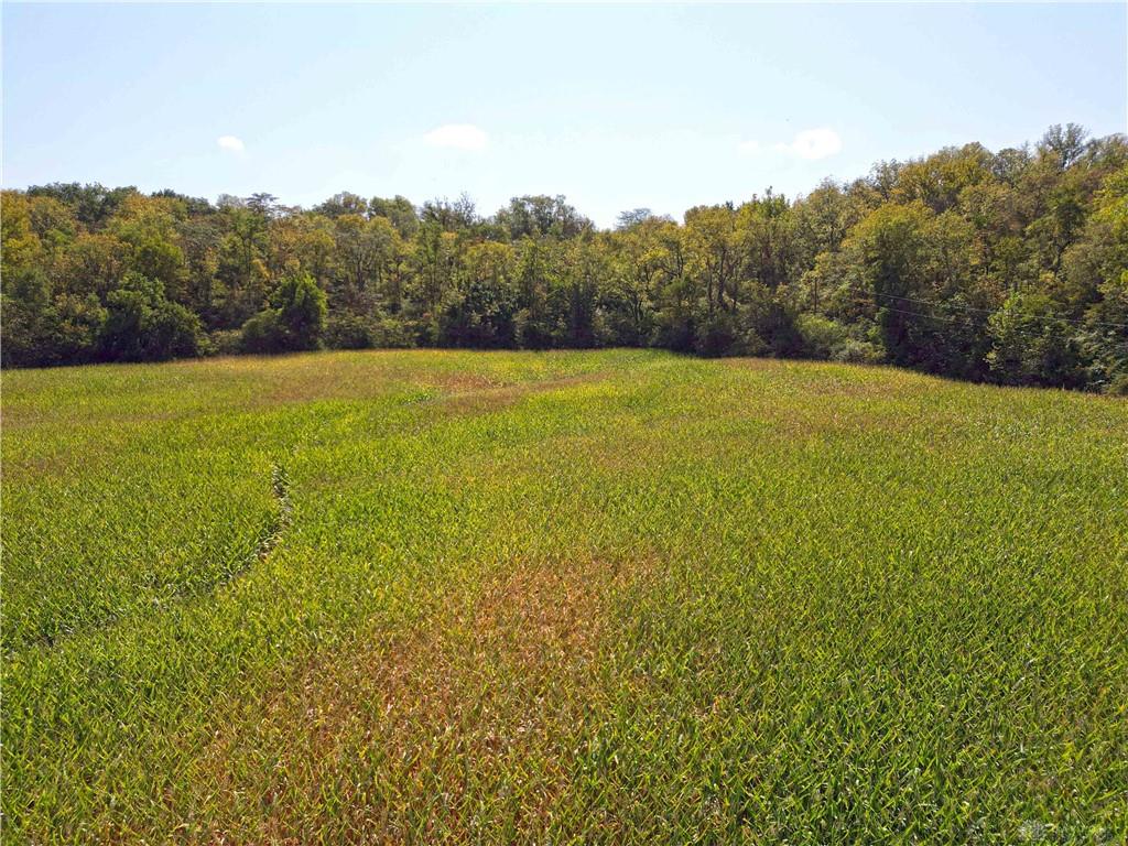 Tract 1 Corwin Property Photo 14
