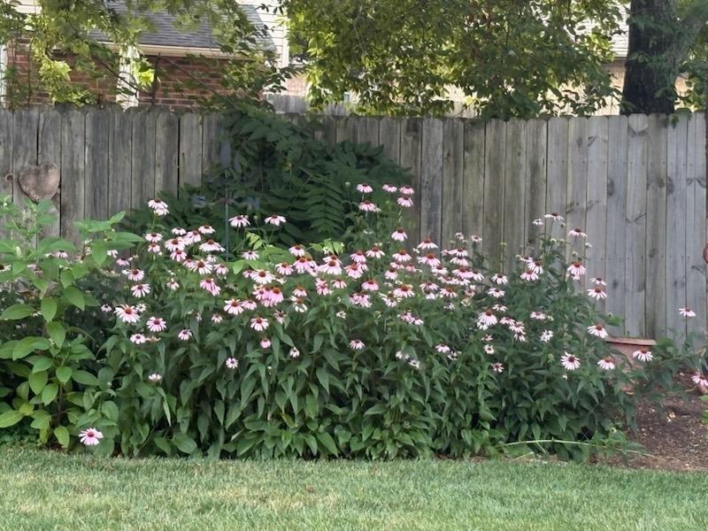 8830 Christygate Lane Property Photo 42