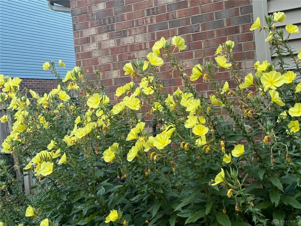 8830 Christygate Lane Property Photo 50