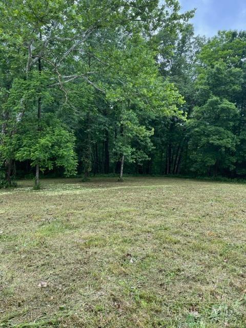 Lot #1 Middleboro Property Photo 4