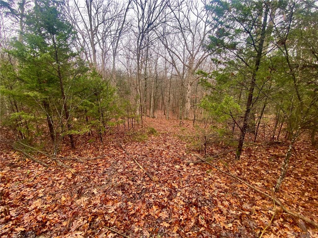 435 Rolling Woods Property Photo 1