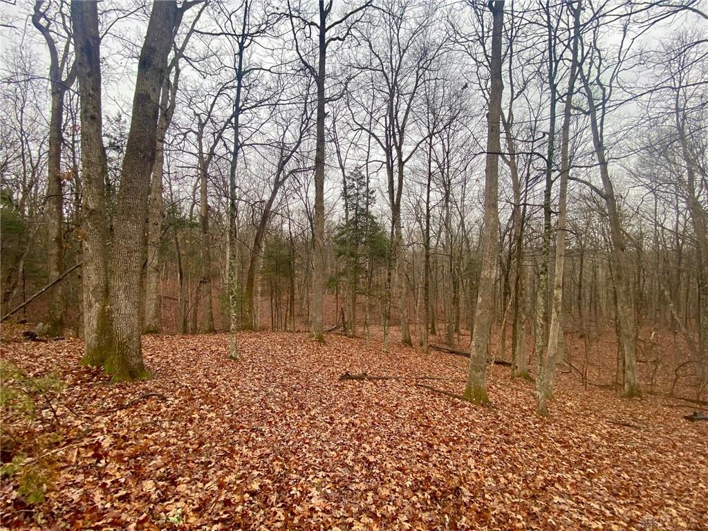 435 Rolling Woods Property Photo 2