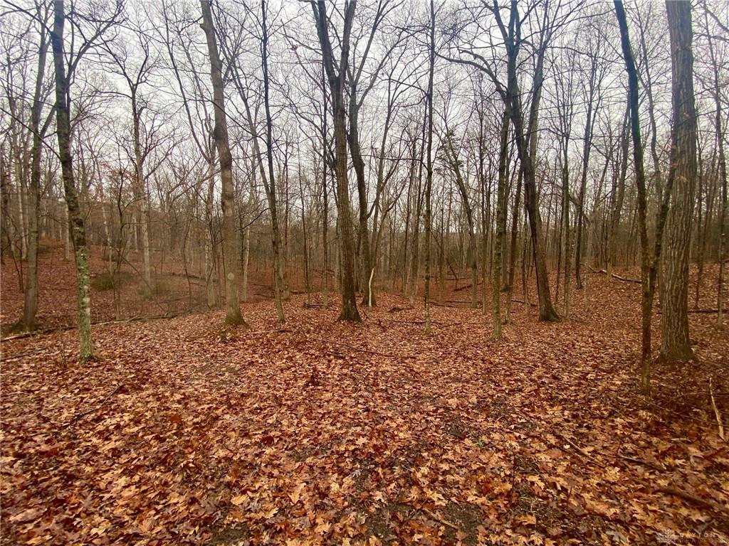 435 Rolling Woods Property Photo 3