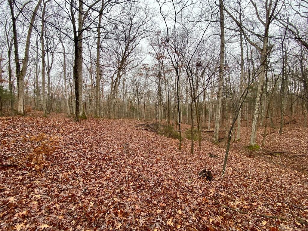435 Rolling Woods Property Photo 4