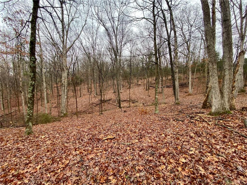 435 Rolling Woods Property Photo 5