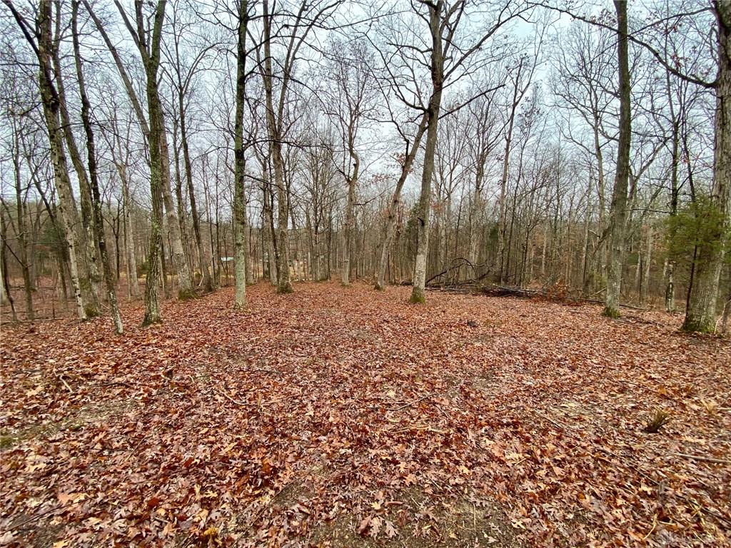 435 Rolling Woods Property Photo 6