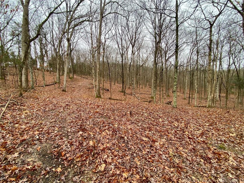 435 Rolling Woods Property Photo 7