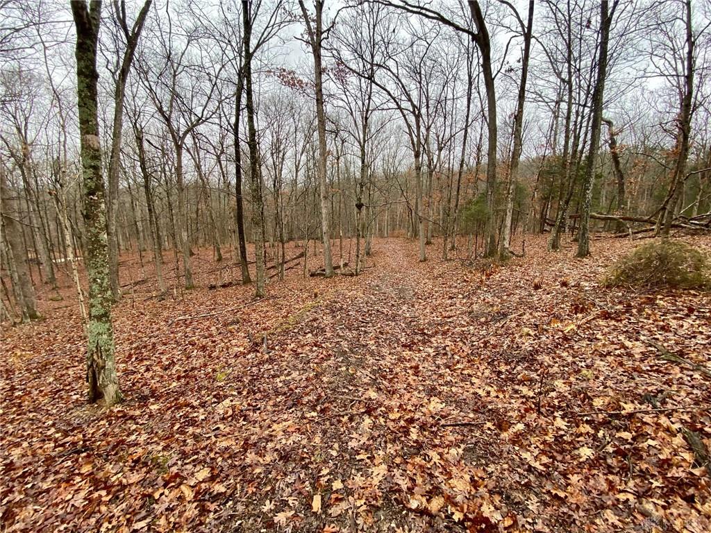 435 Rolling Woods Property Photo 8