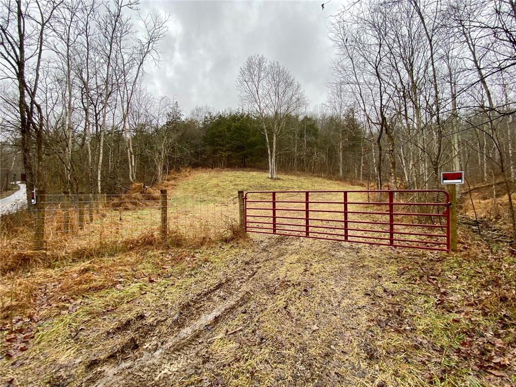 435 Rolling Woods Property Photo 13
