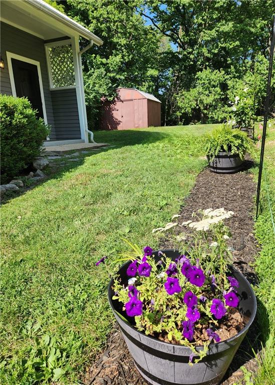 2282 Whitey Marshall Property Photo 8