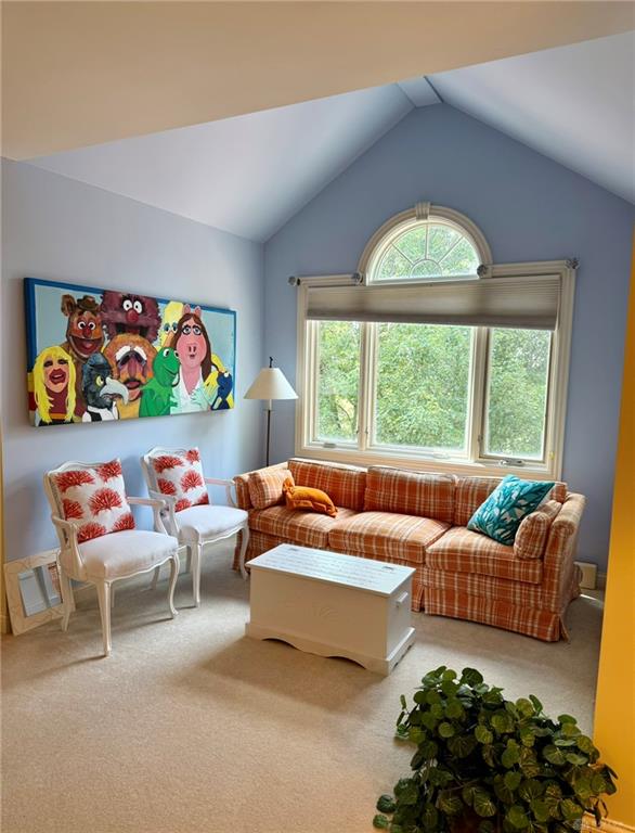 10770 Scott Property Photo 47