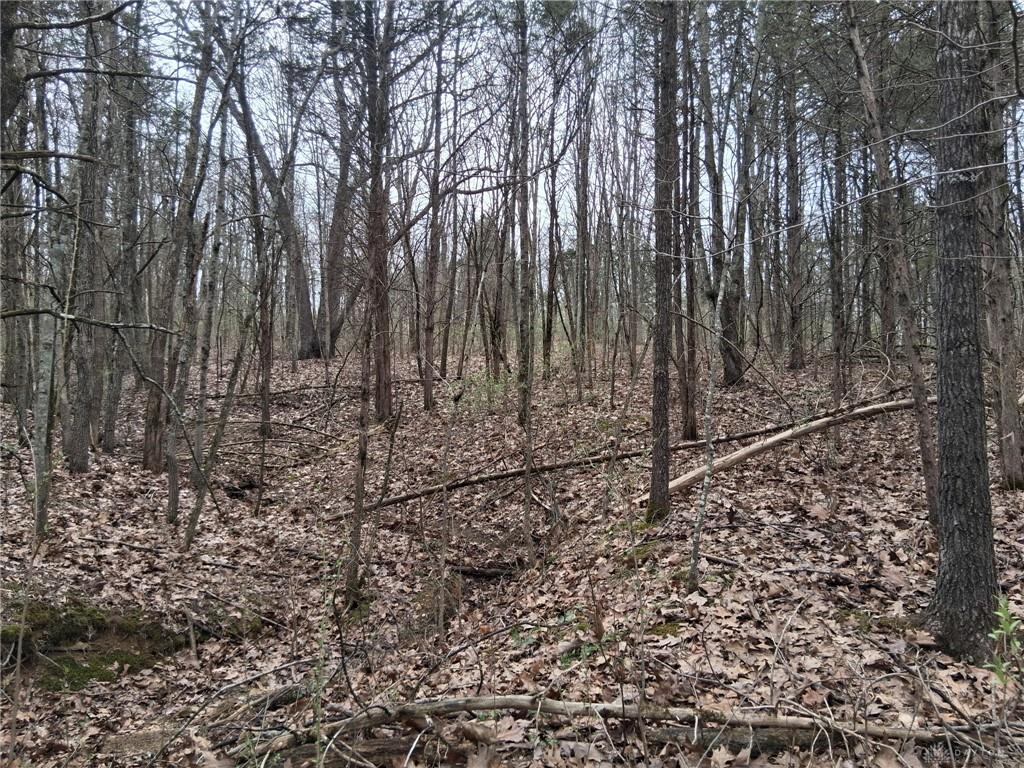 1148 Robinette Property Photo 6