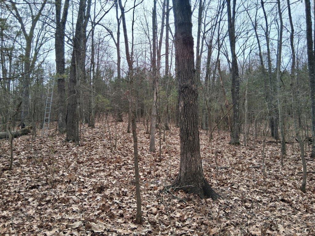 1148 Robinette Property Photo 7