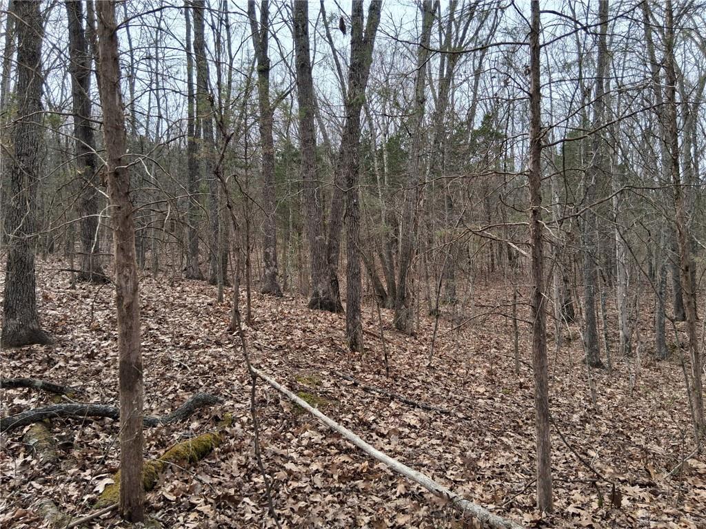 1148 Robinette Property Photo 8