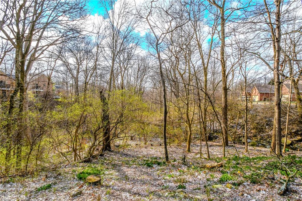 1174 Brindlestone Property Photo 46