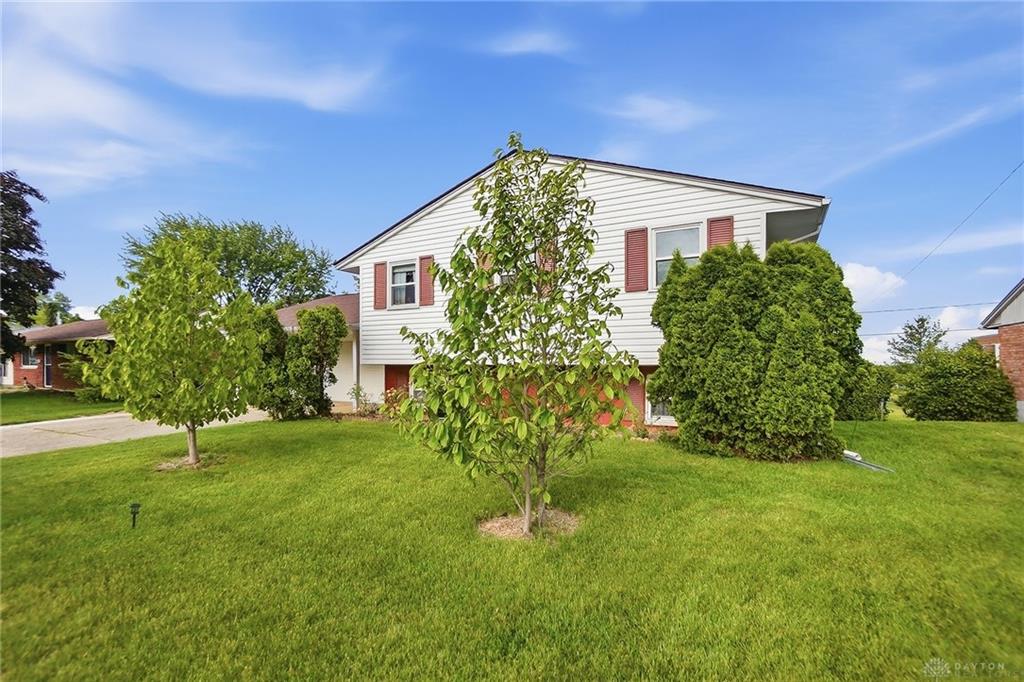 6509 Alter Property Photo 4