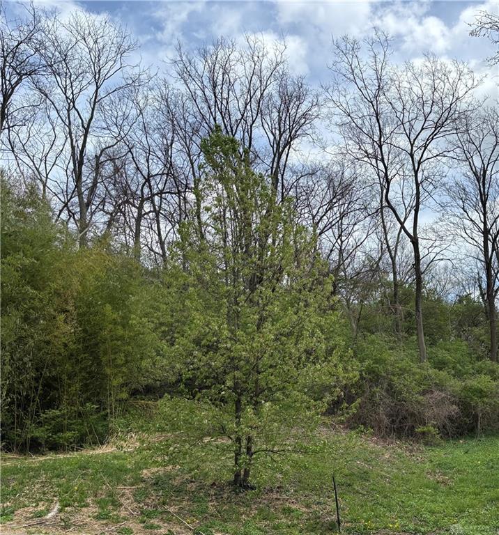 332 Collins Property Photo 1