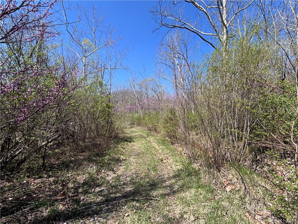 0 State Route 121 Property Photo 25