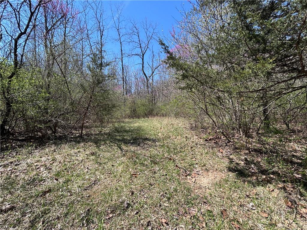 0 State Route 121 Property Photo 26