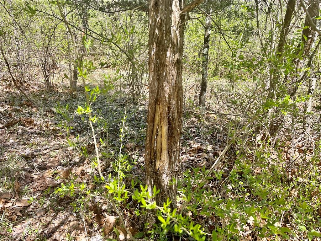 0 State Route 121 Property Photo 27