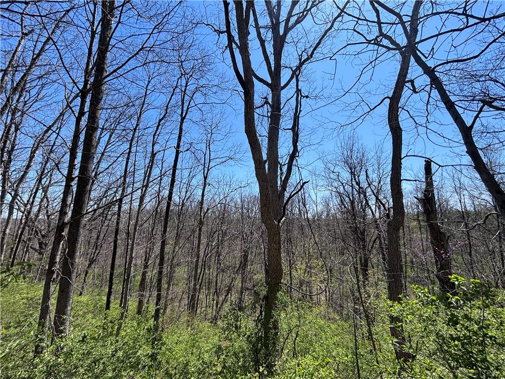 0 State Route 121 Property Photo 32