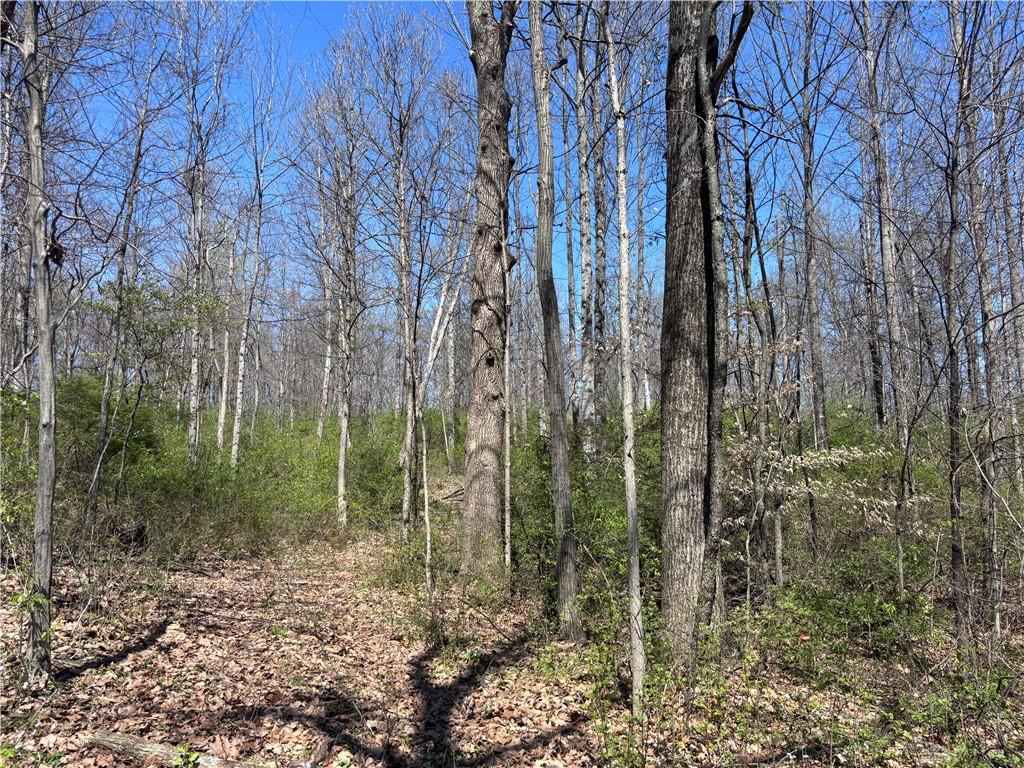 0 State Route 121 Property Photo 35