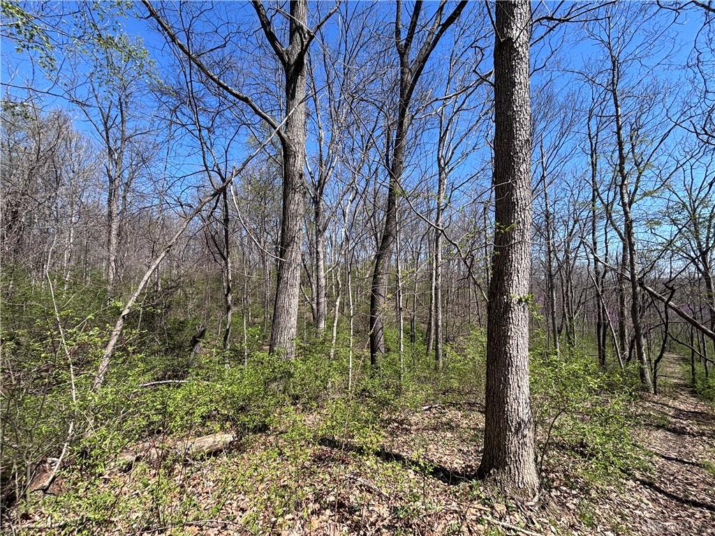 0 State Route 121 Property Photo 37