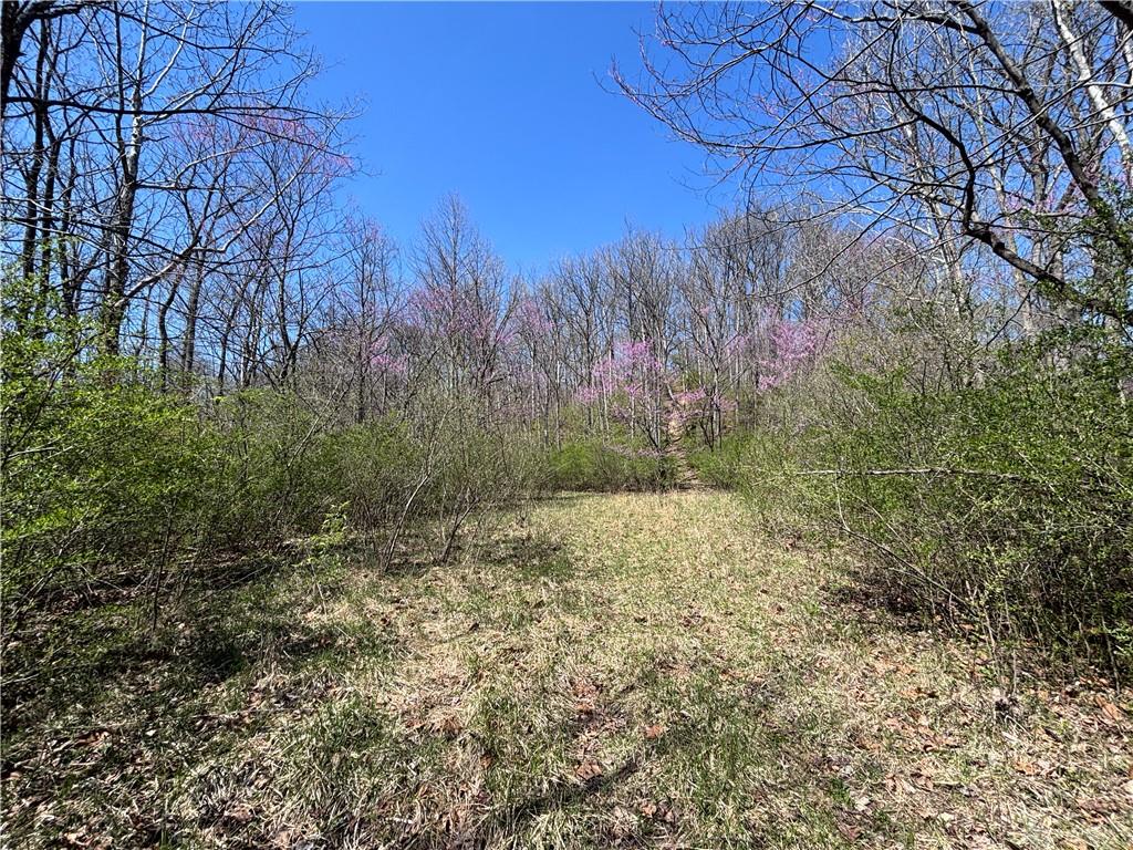 0 State Route 121 Property Photo 38