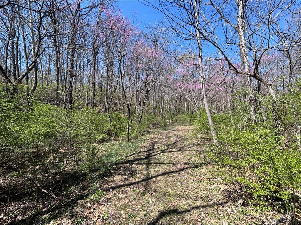 0 State Route 121 Property Photo 40