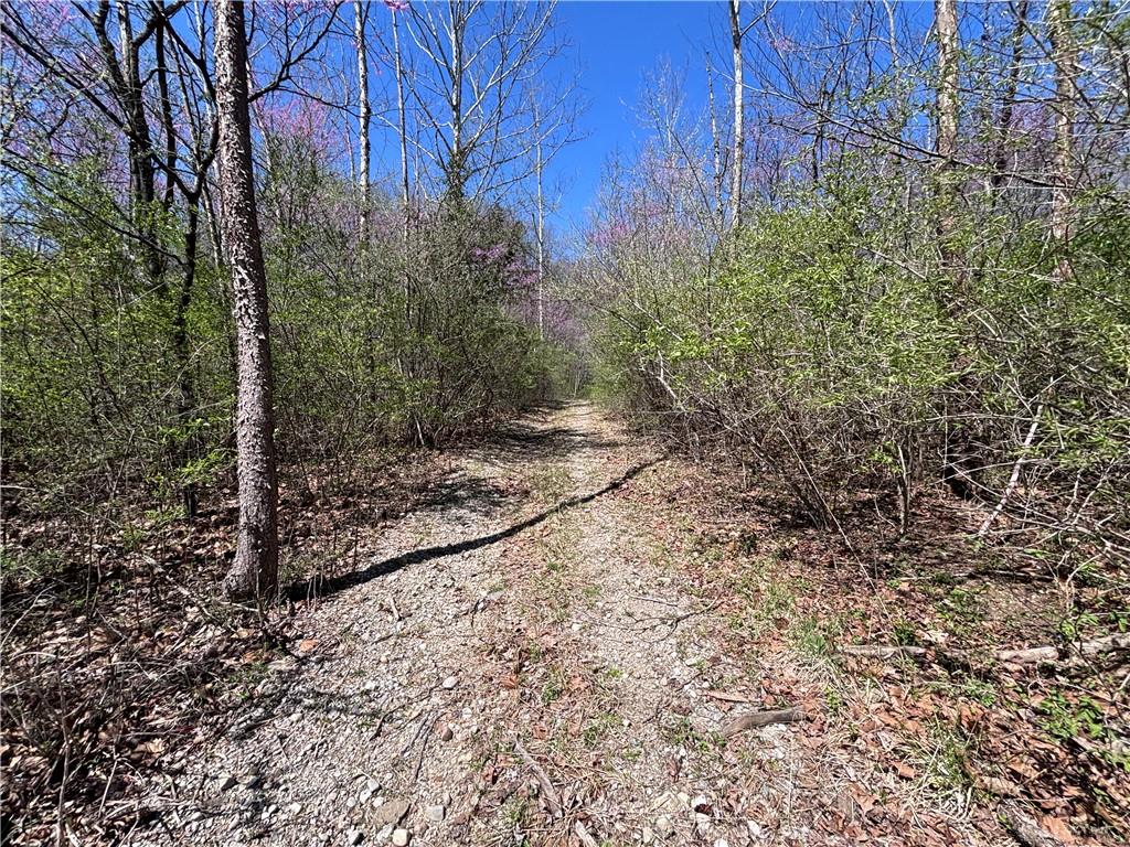 0 State Route 121 Property Photo 41