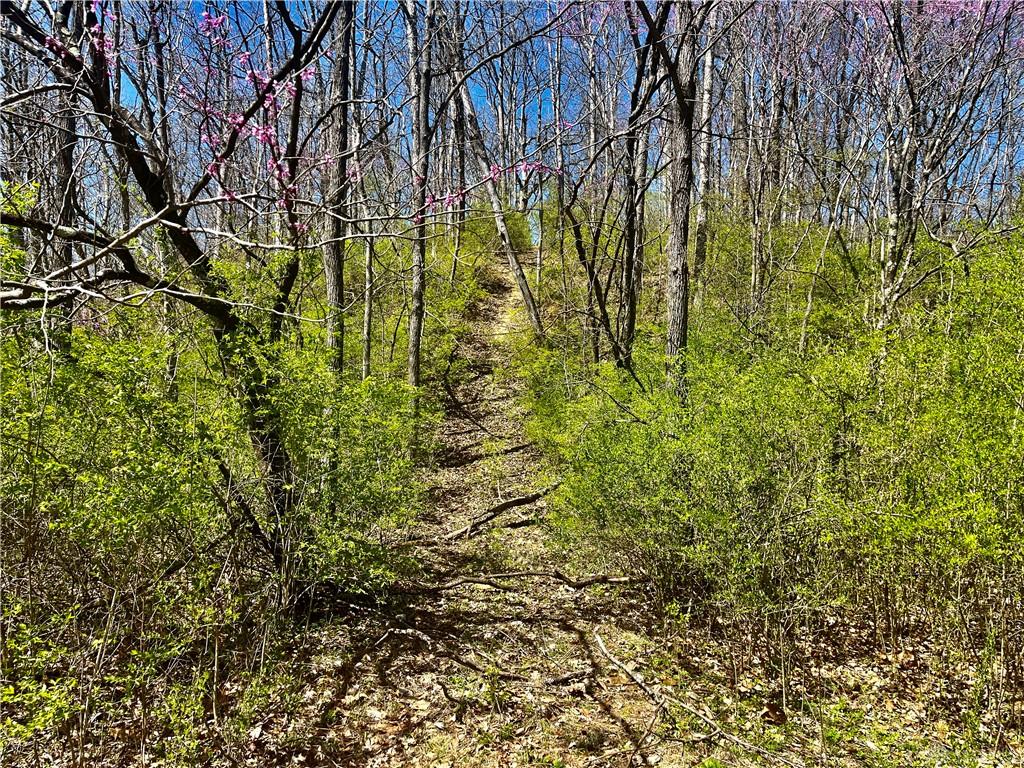0 State Route 121 Property Photo 43