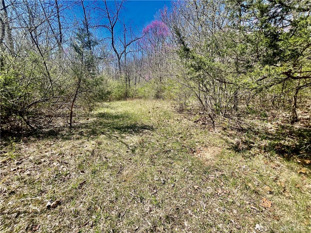 0 State Route 121 Property Photo 44